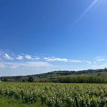 Les Cedres