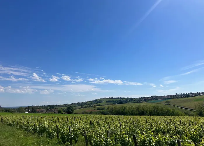 Les Cedres